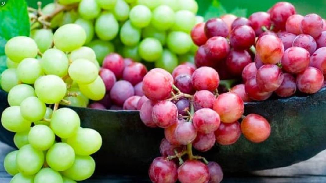 Ciğerlerdeki kiri söküp atıyor! Beyin ve göz için çok faydalı: Mutlaka günde bir avuç tüketin 9